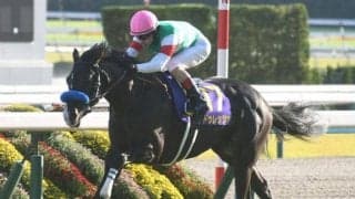 【今日の注目ポイント】中京で金鯱賞と阪神でフィリーズレビュー