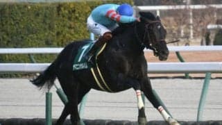 金鯱賞当日の中京芝は内＆前有利 ヤマニンサルバムとエアサージュで中穴狙い