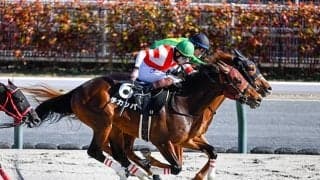 【昇竜S結果】チカッパが直線の競り合いを制す