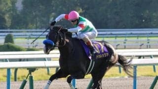 【金鯱賞・馬体重】ドゥレッツァは472kg(+4)、プログノーシスは480kg(+9)