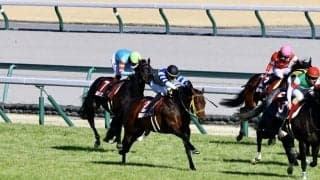 【金鯱賞】ルーキー高杉吏麒（タカスギリキ）の初重賞騎乗は6着