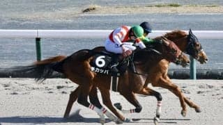 【昇竜S】チカッパが激戦を制してオープン初勝利