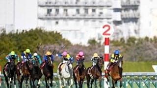 【JRA・WIN5】本日のWIN5は的中246票、配当191万9310円