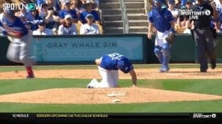 痛がり方が格闘技のKOレベル…高速ライナーが投手のボディを直撃する壮絶シーン 現地のファンも一斉に「Oh…」