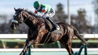 【スプリングS】シックスペンス、ウォーターリヒトらが登録