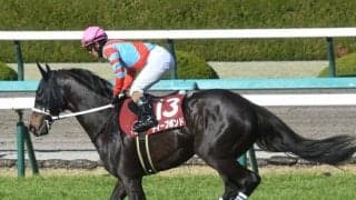 【阪神大賞典】ディープボンド、ブローザホーンらが登録