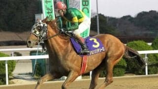 【佐賀・九州クラウン結果】ジョンソンテソーロが断然人気に応え5連勝