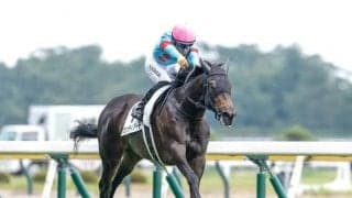 【フラワーC】カンティアーモ、ミアネーロらが登録