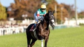 【ファルコンS】シュトラウス、ロジリオンらが登録