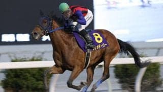 【高知・土佐春花賞】単勝1.0倍シンメデージーが無傷の５連勝…吉原「手前を替えてしっかり反応」