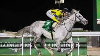 【阪神大賞典登録馬】シルヴァーソニックなど15頭