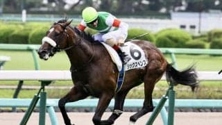 【スプリングS登録馬】シックスペンスなど14頭