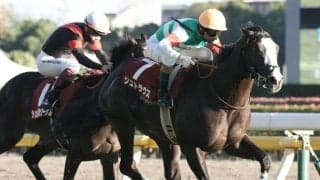 【ファルコンS登録馬】シュトラウスなど17頭