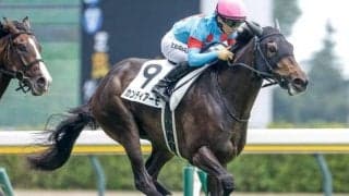 【フラワーC見どころ】久々でもカンティアーモの素質に期待