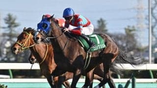 【中山牝馬S】売上は48億4157万8000円で昨年より約3.7億円増加