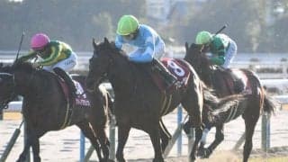阪神大賞典想定騎手15頭 ブローザホーンは菅原明良騎手、サヴォーナは池添謙一騎手など