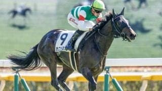 フラワーC想定騎手13頭 カニキュルは戸崎圭太騎手、カンティアーモはC.ルメール騎手など