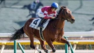 ファルコンS想定騎手17頭 ソンシは川田将雅騎手、シュトラウスは北村宏司騎手など