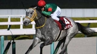 【フィリーズレビュー】売上は54億8230万2300円で昨年より約3億円増加