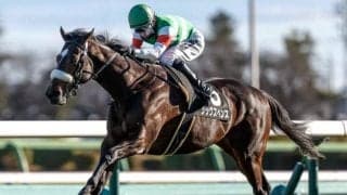 スプリングS想定騎手14頭 シックスペンスはC.ルメール騎手、ウォーターリヒトは幸英明騎手など