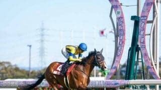 【金鯱賞】売上は62億8747万8000円で昨年より約1億円増加