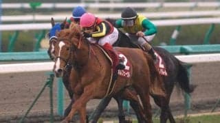 “異端の三冠馬”が阪神大賞典で見せた怪物ぶり 致命的ロスから勝利へあと一歩の大激走