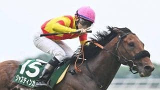 【先週のJRA抹消馬】昨年のマイルCS3着ジャスティンカフェ、牝馬路線で活躍のアナザーリリックなど