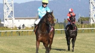 【AI予想・阪神大賞典】前走6着以下でも実績次第では要注意!? 人工知能は長距離適性が光る3頭を高評価