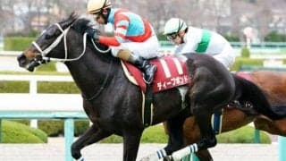 積み上げた賞金は6億8505万5800円 “GI未勝利の賞金王”が阪神大賞典3度目V狙う