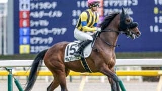 【フラワーC展望】マルコタージュの無傷連勝に期待