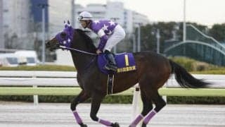 【川崎・ネクストスター東日本枠順】3場持ち回りの新設重賞 距離短縮で巻き返し期すギガースは3枠4番