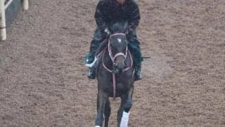 ミスエーニョの2022(ショウナンザナドゥ)など、先週の入厩情報/栗東トレセンニュース