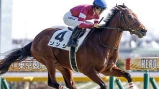 ウマ娘・藤田晋オーナー所有のソンシ 3歳マイル王目指しファルコンSで重賞初参戦だ