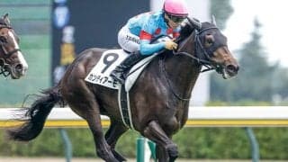 ルメール騎手×木村哲也厩舎がフラワーCで2年連続タッグ 新馬レコードVの素質馬と初制覇なるか