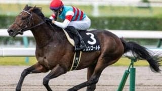 いとこはダービー馬マカヒキ 友道厩舎の大器がスプリングSで真価発揮だ