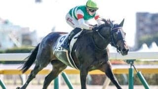 【フラワーC予想オッズ】カニキュルが予想1番人気