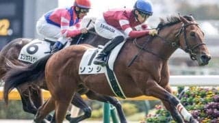 【ファルコンS予想オッズ】ソンシが予想1番人気