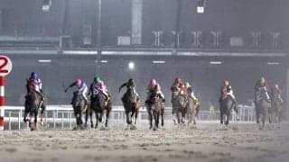 名古屋競馬に1400m戦を新設 重賞は行わずC級戦のみ実施