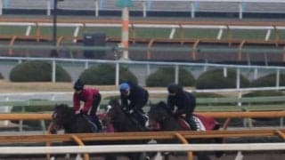 リバティアイランド、ドバイSC追い切り速報/栗東トレセンニュース