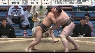力士の髷が綺麗な“ポニーテール”になった激戦の珍事 「僧帽筋やっば」「気持ちも内容もいい」心技体でファンを魅了