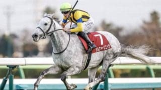 武豊騎手が阪神大賞典9勝目なるか 重賞2勝馬シルヴァーソニックと約4年ぶりコンビ