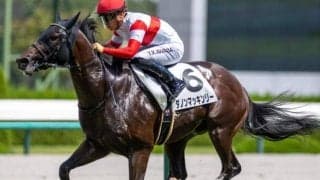 2億円の良血馬が連敗脱出へ ファルコンSで初タイトル獲得なるか