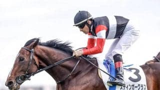 ダノンファンタジーの半弟がスプリングS参戦 勝てば史上初のキャリア1戦馬Vに