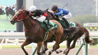 ボンボヤージの競走馬登録抹消…短距離重賞で活躍