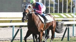 横山典弘騎手がゴールドシップ産駒とスプリングS参戦 盟友の仔をクラシックへ導くか