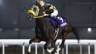 名古屋の強豪が阪神大賞典に参戦 レース史上初の地方馬V狙う