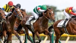 【大阪杯想定】タスティエーラ、ソールオリエンスなど20頭