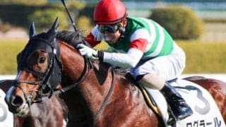 重賞3勝ディアデラマドレの仔がスプリングSに 母＆祖母に次ぐ重賞Vに挑む