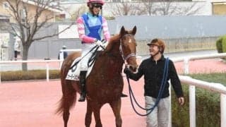 【スプリングS予想】評価が分かれるウォーターリヒト AIと近年データから導かれる結論は