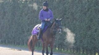 ディヴィーナ、高松宮記念1週前追い切り速報/栗東トレセンニュース